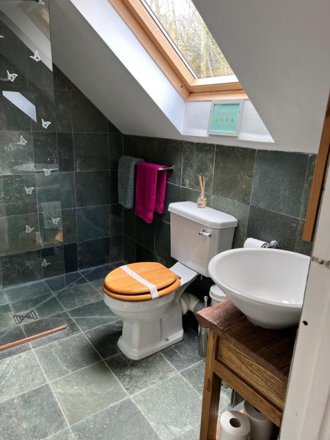 Studio Apartment Wells Buitenkant foto